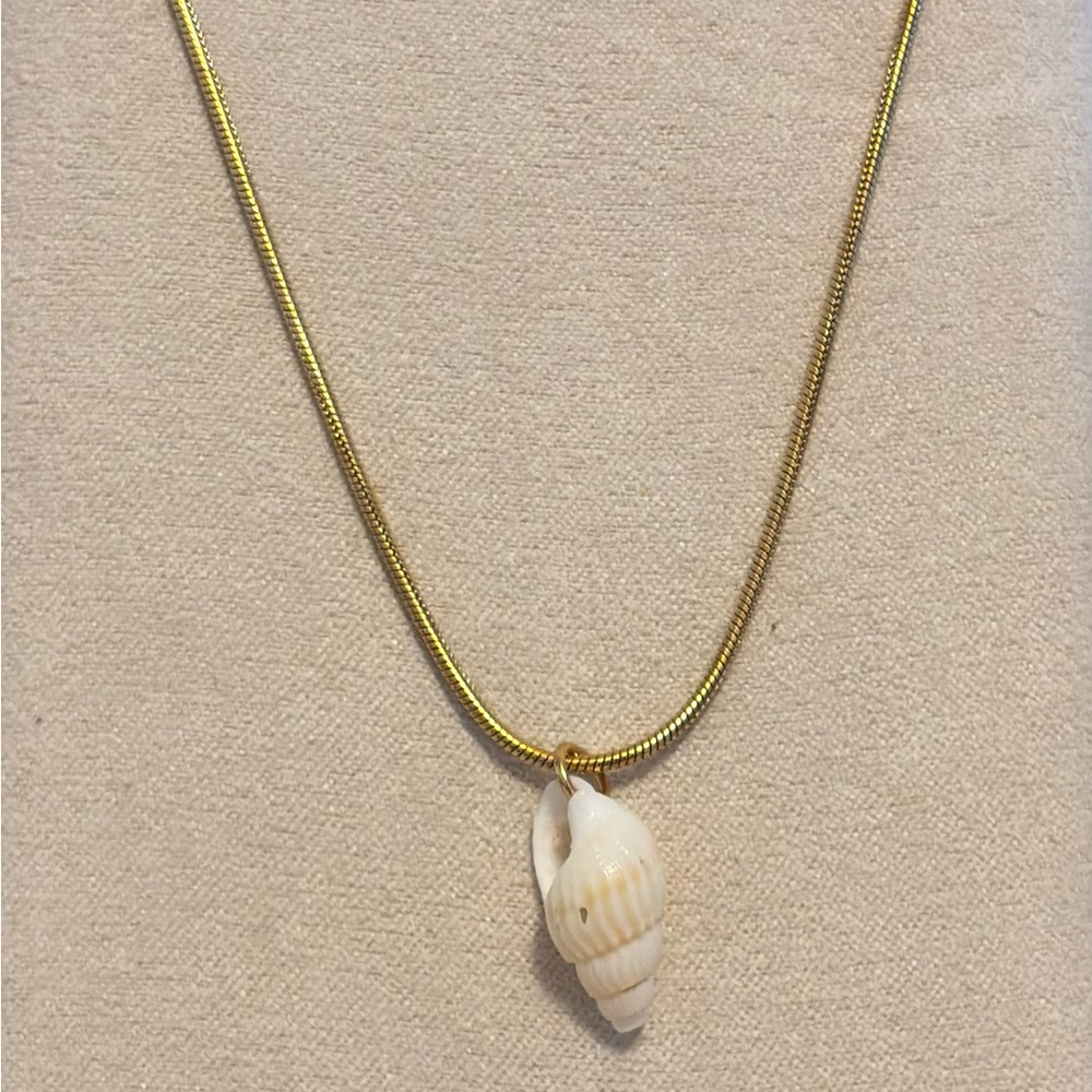 Shell 🐚 necklace